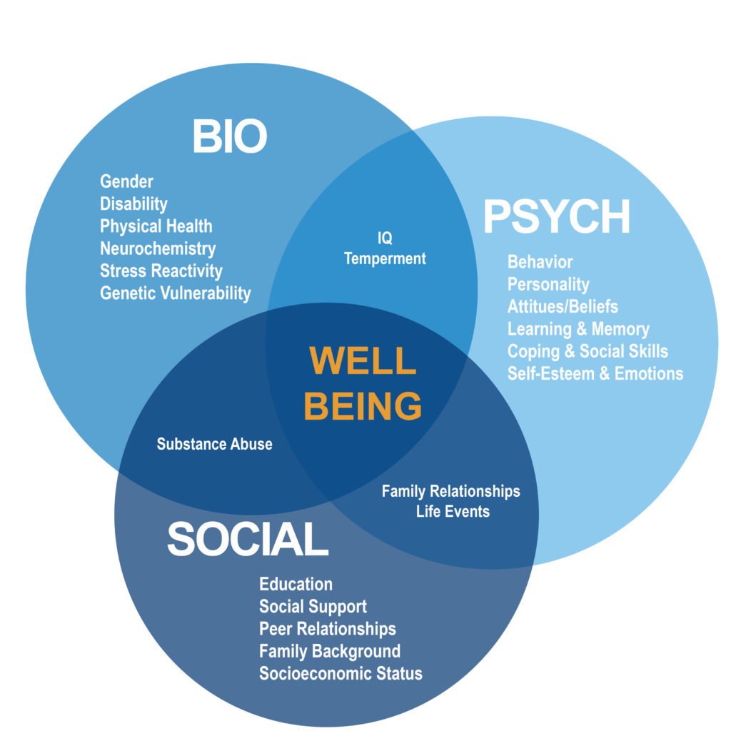 The Biopsychosocial Model