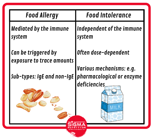 Are Food Intolerance Tests Accurate Sigma Nutrition