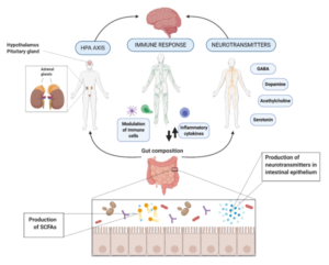 Can Gut Bacteria Impact Our Mood?: Examining the Gut-Brain Axis | Sigma ...